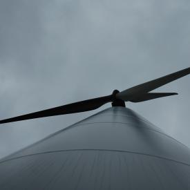 351872248_55bc4f8644_o