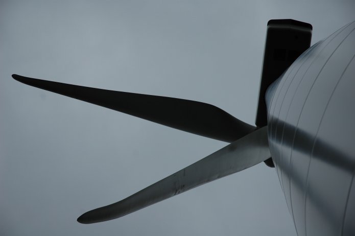 351876232_5757b6fe3d_o