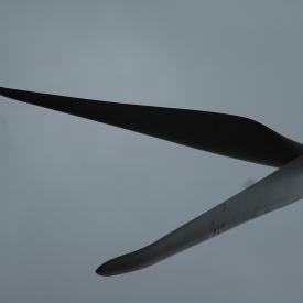 351876929_3043d9da56_o