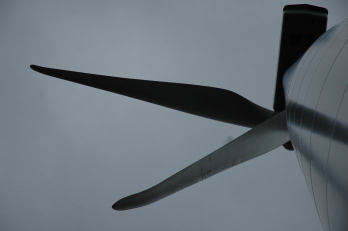 351876929_3043d9da56_o