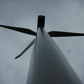 351877623_1905c760da_o