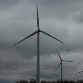 351878313_b1f429abc3_o