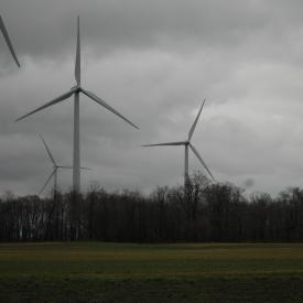 351879075_6e94de1d23_o