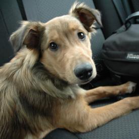 351879956_dd61256ab9_o