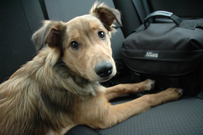 351879956_dd61256ab9_o