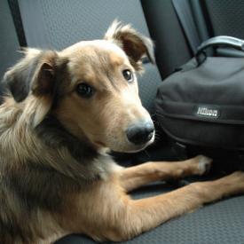 351880841_289a19aa5e_o