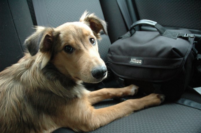 351880841_289a19aa5e_o