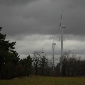 351884129_3840293167_o