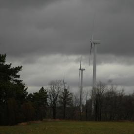 351885093_f7a03d8c97_o