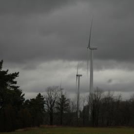 351885915_475cfee19c_o