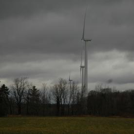 351887720_9186dee628_o